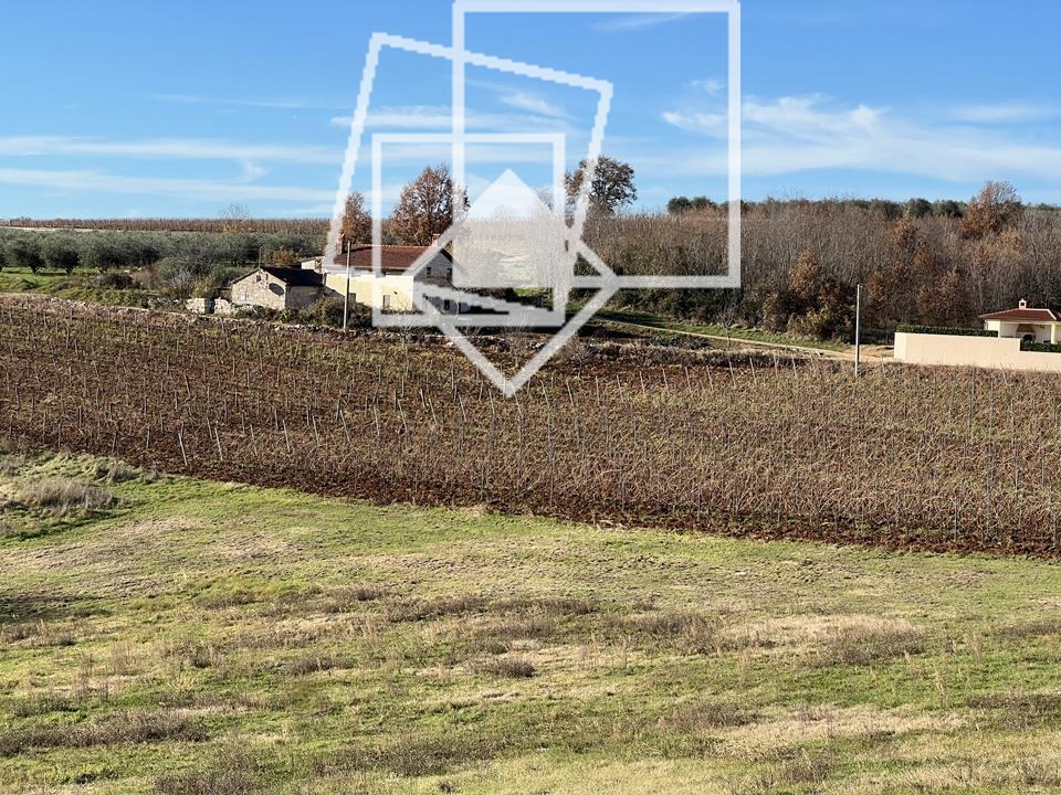 Land For sale - ISTARSKA VIŽINADA