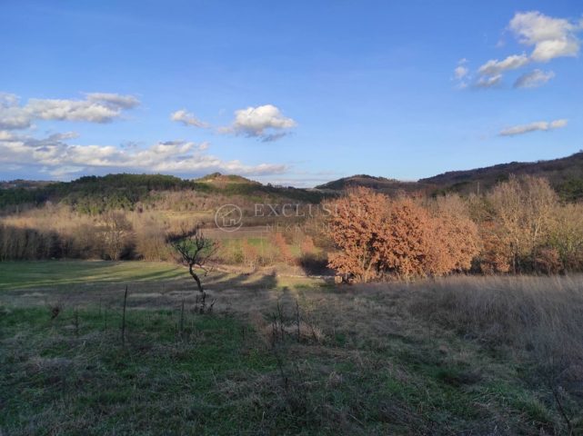Pozemok Na predaj - Istarska Karojba - foto 3/10