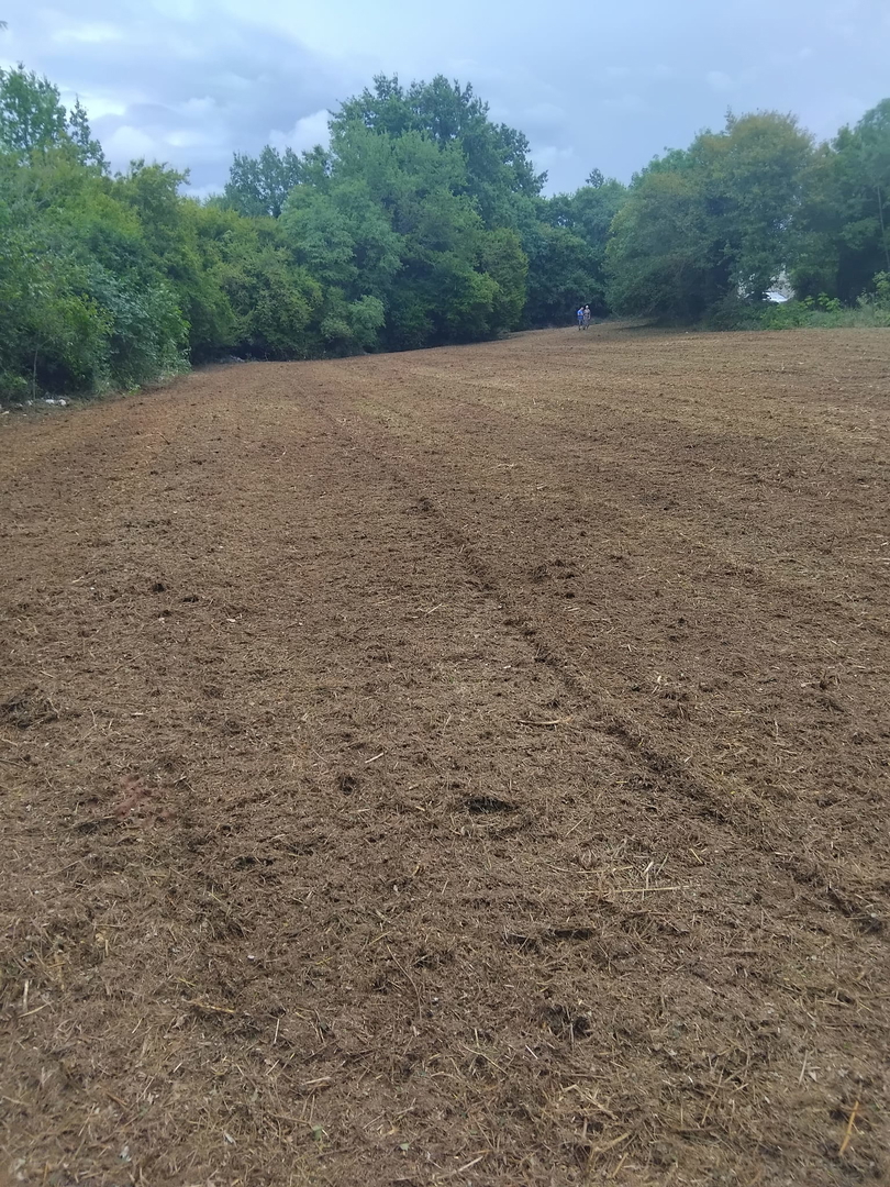 Land For sale - ISTARSKA VIŠNJAN