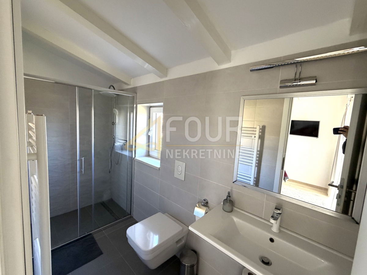 House For sale - ISTARSKA PAZIN