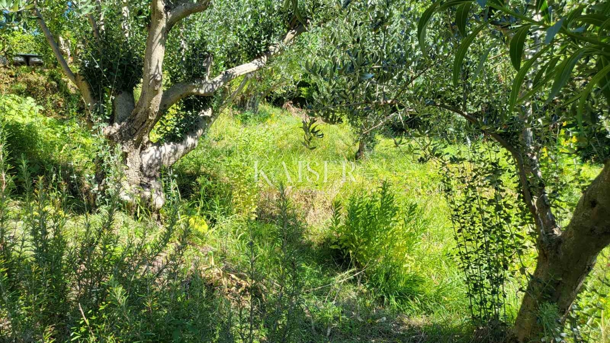Terreno In vendita - ZADARSKA RAŽANAC