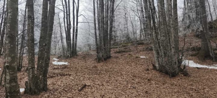 Terreno in vendita 940 m² – Ravna Gora