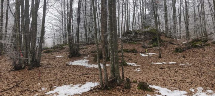 Parcela Na predaj - Primorsko-goranska Ravna Gora - foto 4/5
