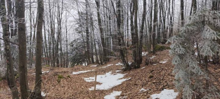 Parcela Na predaj - Primorsko-goranska Ravna Gora - foto 5/5