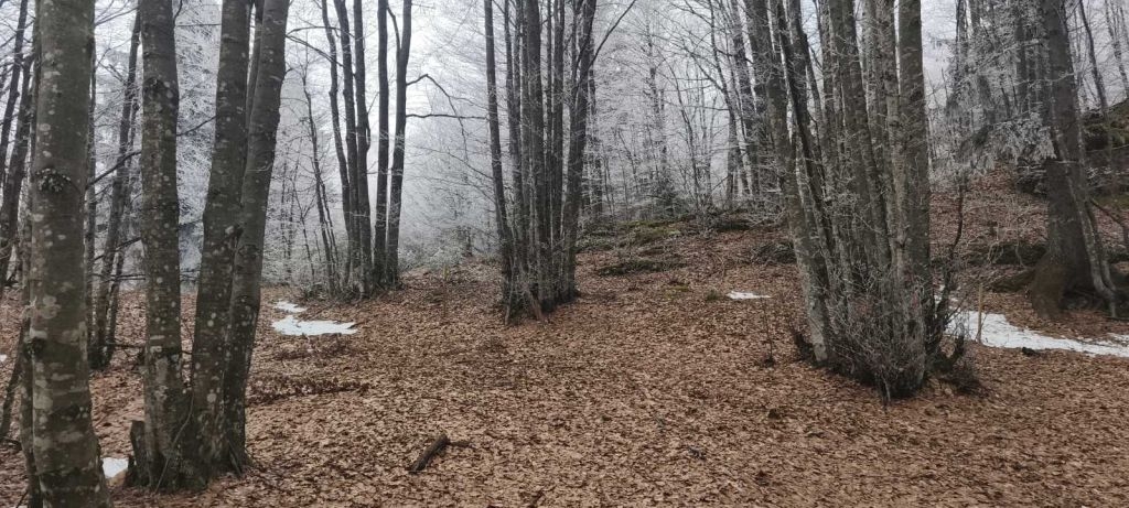 Pozemok Na predaj - Primorsko-goranska Ravna Gora - foto 1/5