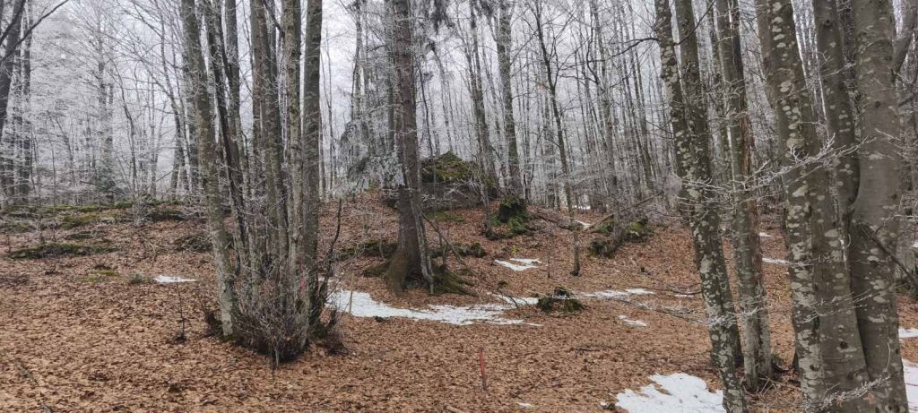 Pozemok Na predaj - Primorsko-goranska Ravna Gora - foto 2/5