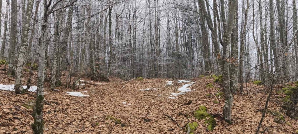 Pozemok Na predaj - Primorsko-goranska Ravna Gora - foto 3/5
