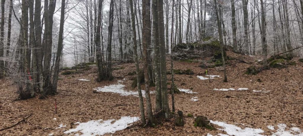 Pozemok Na predaj - Primorsko-goranska Ravna Gora - foto 4/5