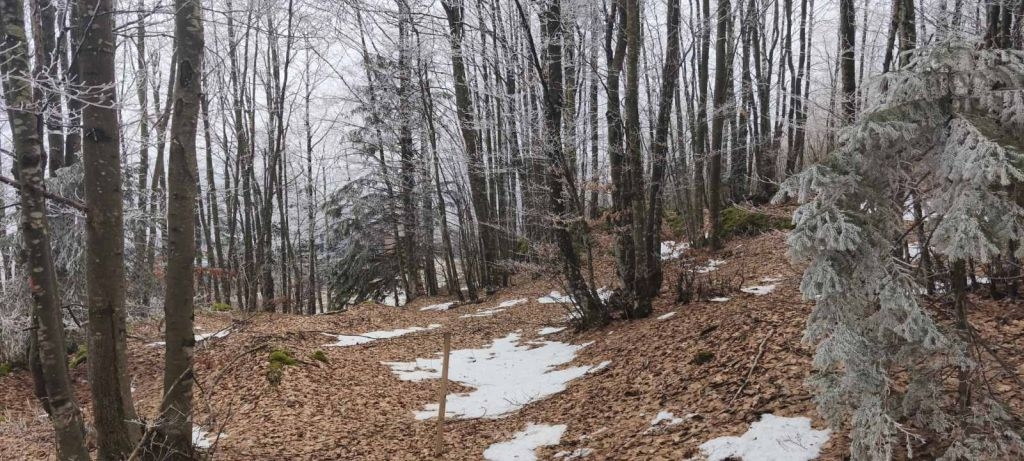 Pozemok Na predaj - Primorsko-goranska Ravna Gora - foto 5/5