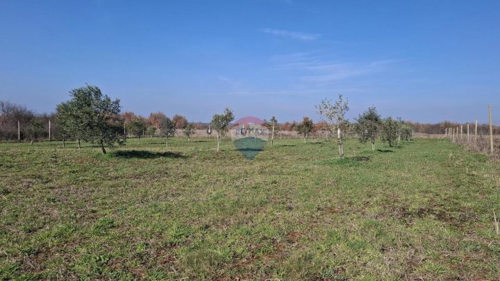 Grundstück zu verkaufen 5217 m² – Novigrad