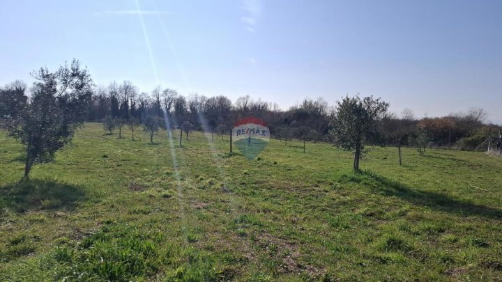 Grundstück Zu verkaufen - Istarska Novigrad - foto 3/12