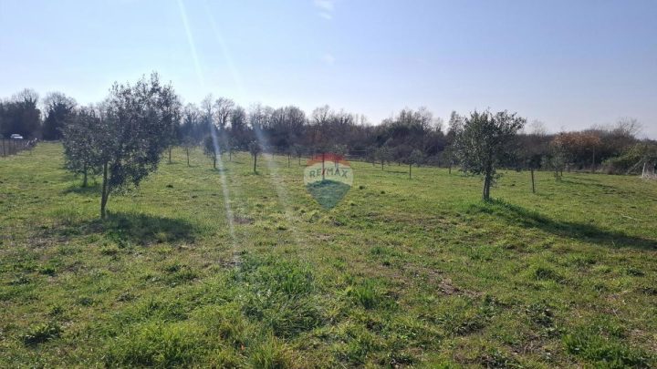 Grundstück Zu verkaufen - Istarska Novigrad - foto 4/12