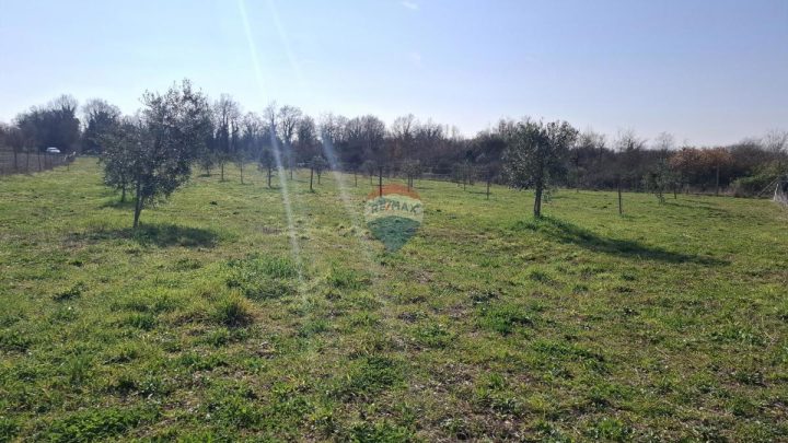 Grundstück Zu verkaufen - Istarska Novigrad - foto 5/12