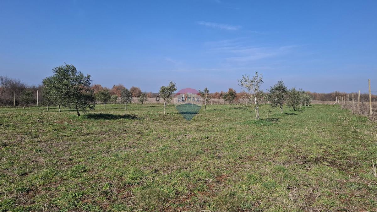 Zemljište Na prodaju - ISTARSKA NOVIGRAD