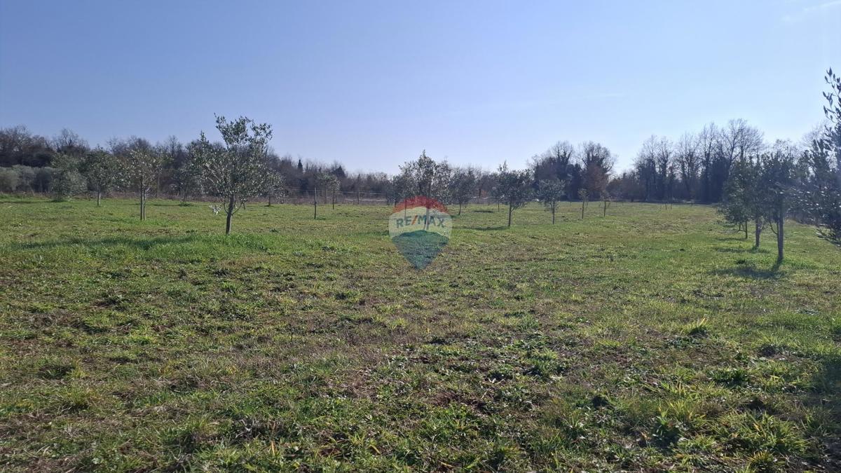 Zemljište Na prodaju - ISTARSKA NOVIGRAD