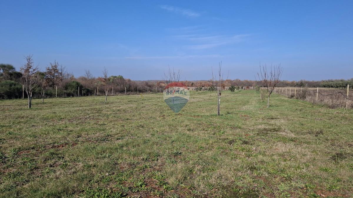 Zemljište Na prodaju - ISTARSKA NOVIGRAD