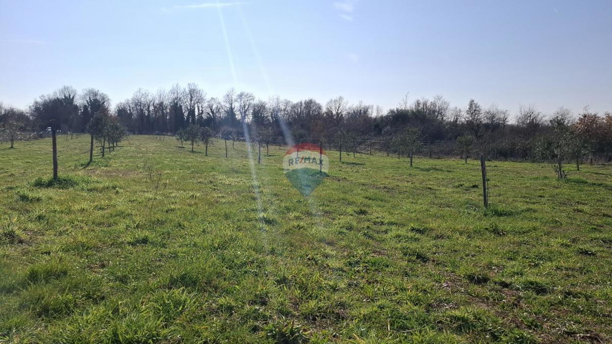 Zemljište Na prodaju - ISTARSKA NOVIGRAD