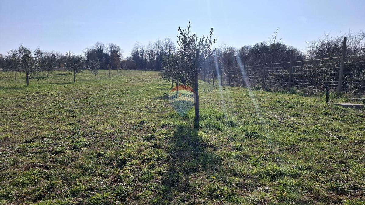 Zemljište Na prodaju - ISTARSKA NOVIGRAD
