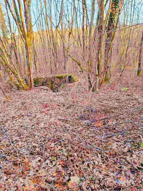 Terreno In vendita - Karlovačka Ogulin - foto 1/11