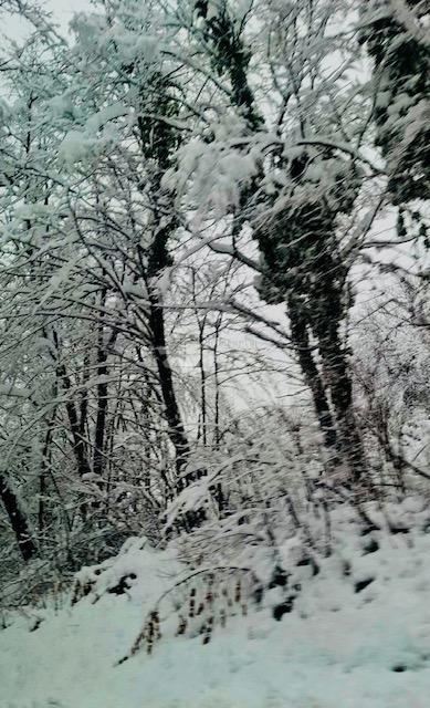 Terreno In vendita - KARLOVAČKA OGULIN
