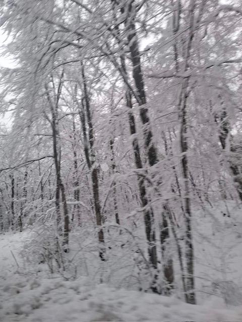 Terreno In vendita - KARLOVAČKA OGULIN
