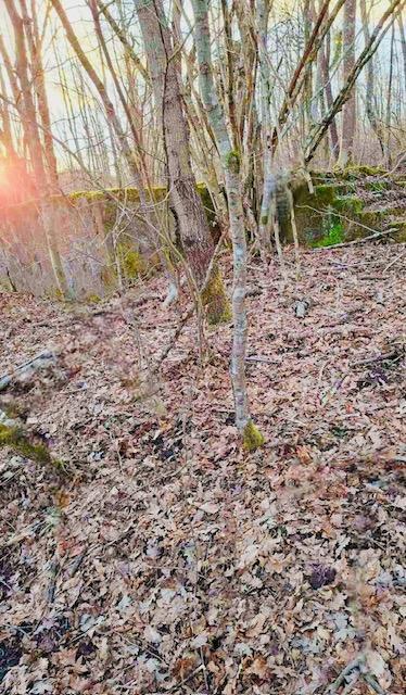 Terreno In vendita - Karlovačka Ogulin - foto 3/11