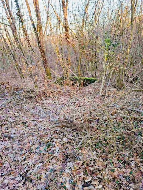 Terreno In vendita - Karlovačka Ogulin - foto 4/11
