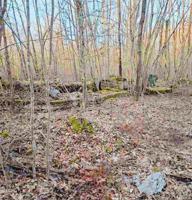 Terreno In vendita - Karlovačka Ogulin - foto 5/11