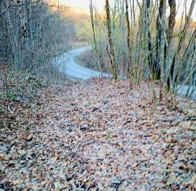 Terreno In vendita - KARLOVAČKA OGULIN