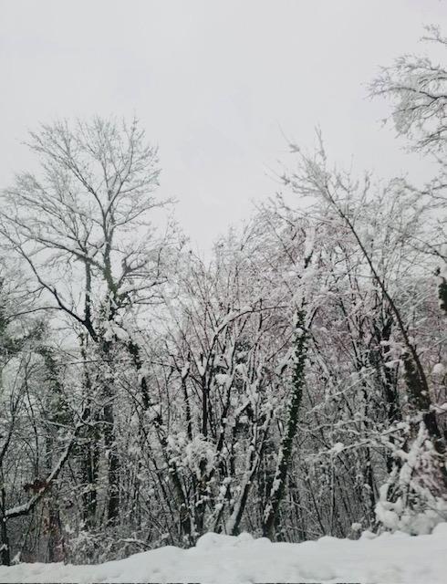Terreno In vendita - KARLOVAČKA OGULIN