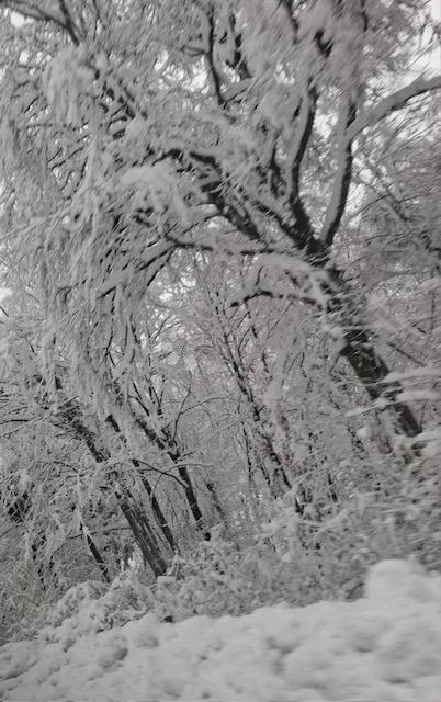 Terreno In vendita - KARLOVAČKA OGULIN