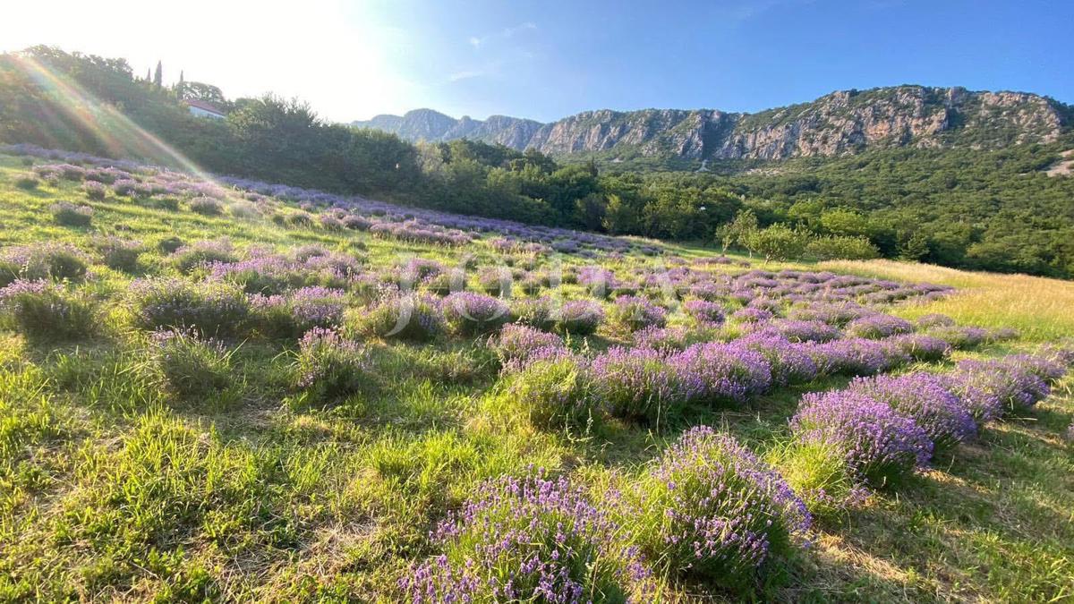 Grundstück Zu verkaufen - PRIMORSKO-GORANSKA VINODOLSKA OPĆINA