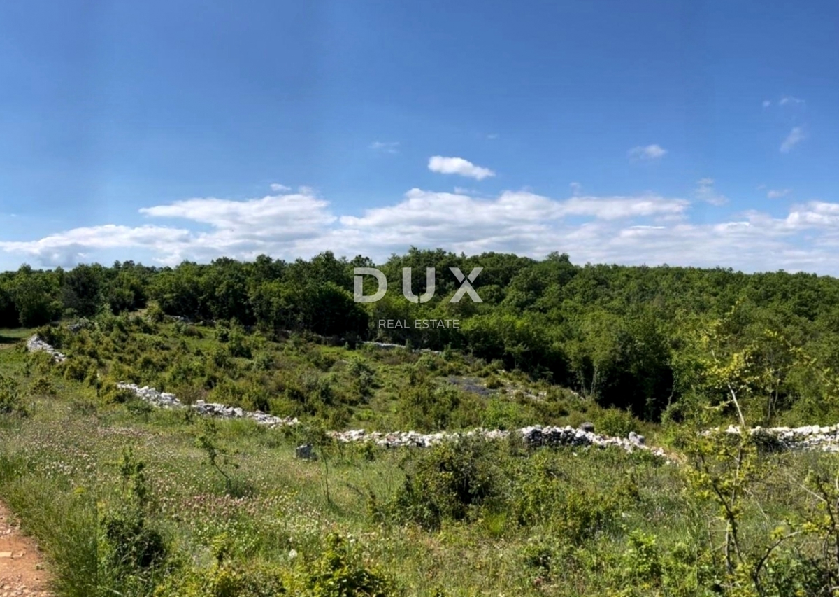 Terreno In vendita - Istarska Barban - foto 4/4