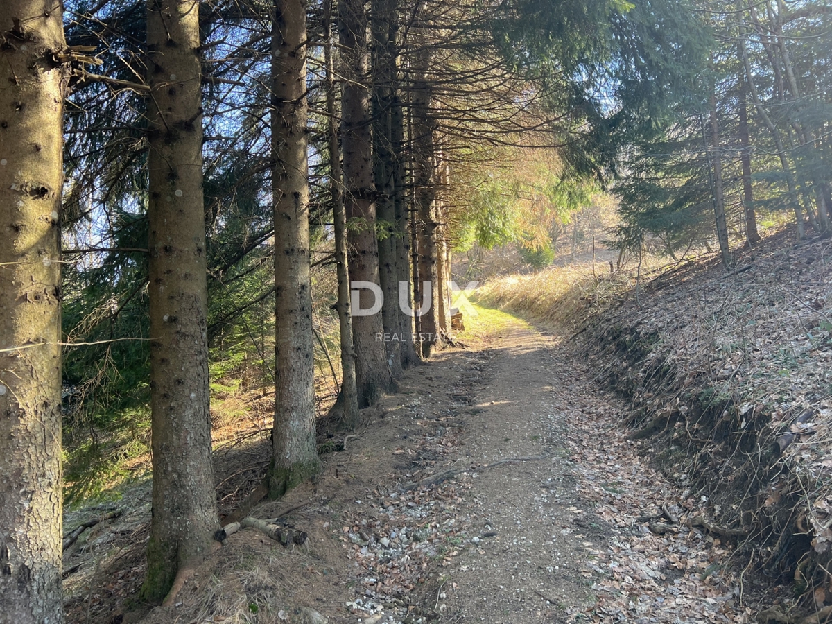 House For sale - PRIMORSKO-GORANSKA DELNICE