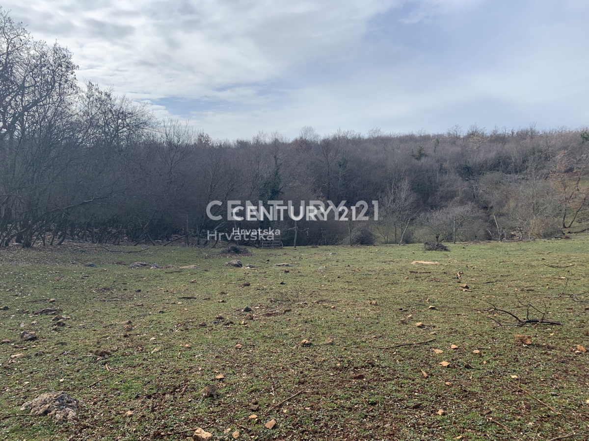 Land For sale - Istarska Višnjan - foto 2/11