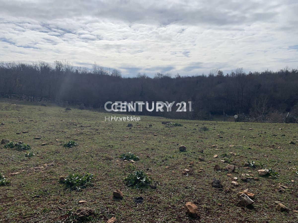 Land For sale - Istarska Višnjan - foto 5/11