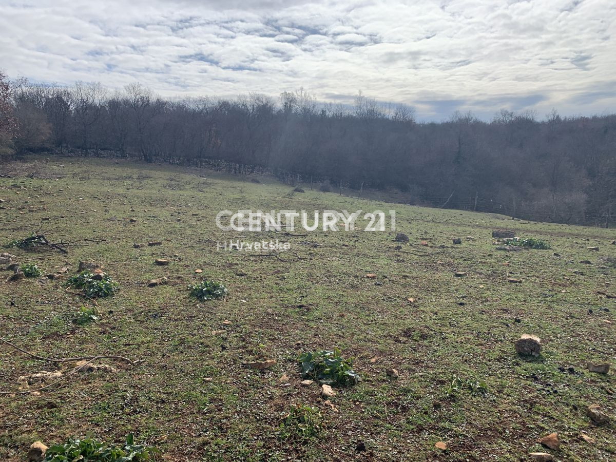 Land For sale - ISTARSKA VIŠNJAN