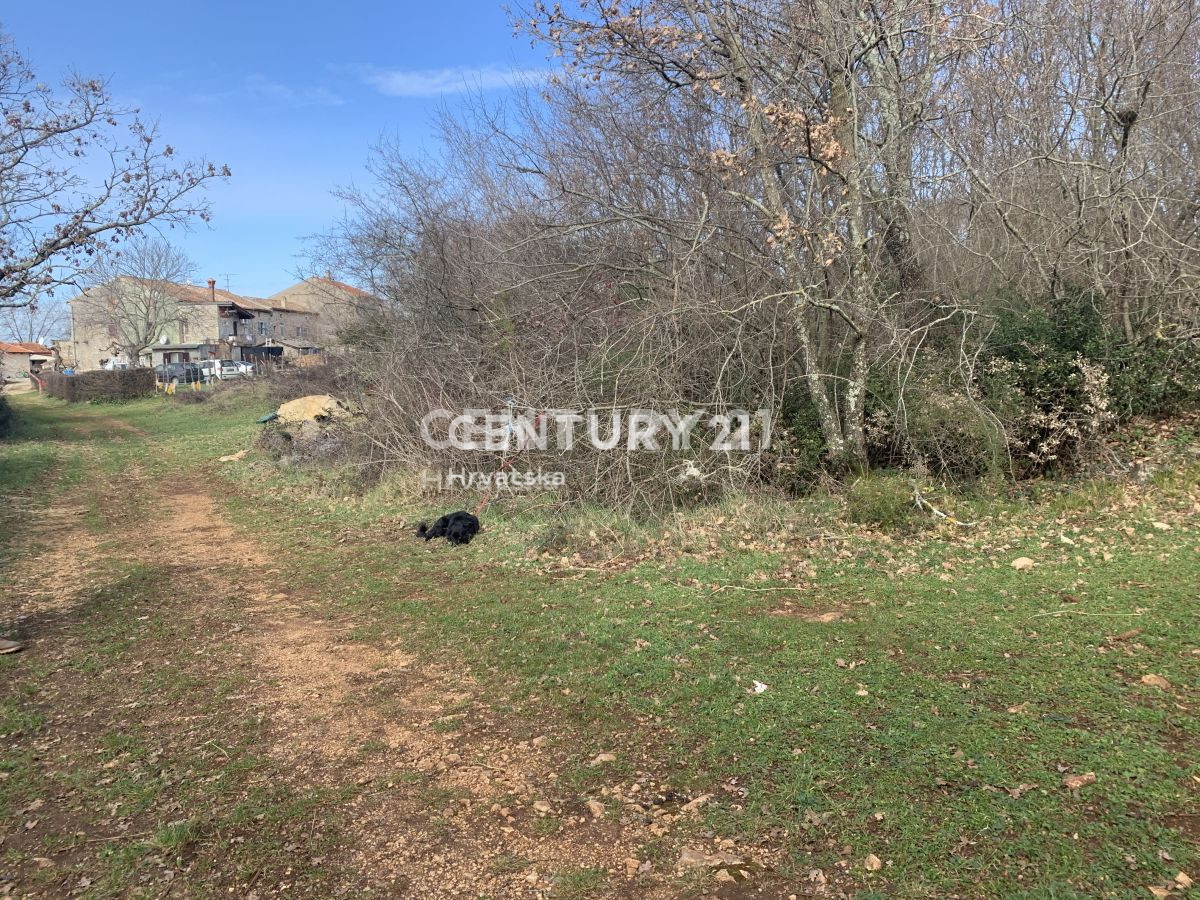 Land For sale - ISTARSKA VIŠNJAN