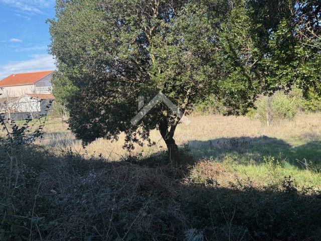 Land For sale - Zadarska Novigrad - foto 4/13