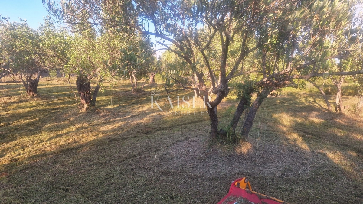 Land For sale - Zadarska Pašman - foto 5/6