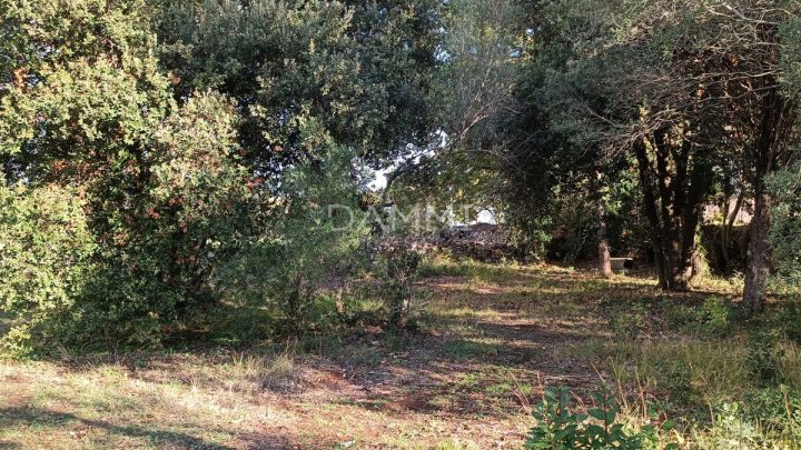 Land For sale - Istarska Vodnjan - foto 4/4