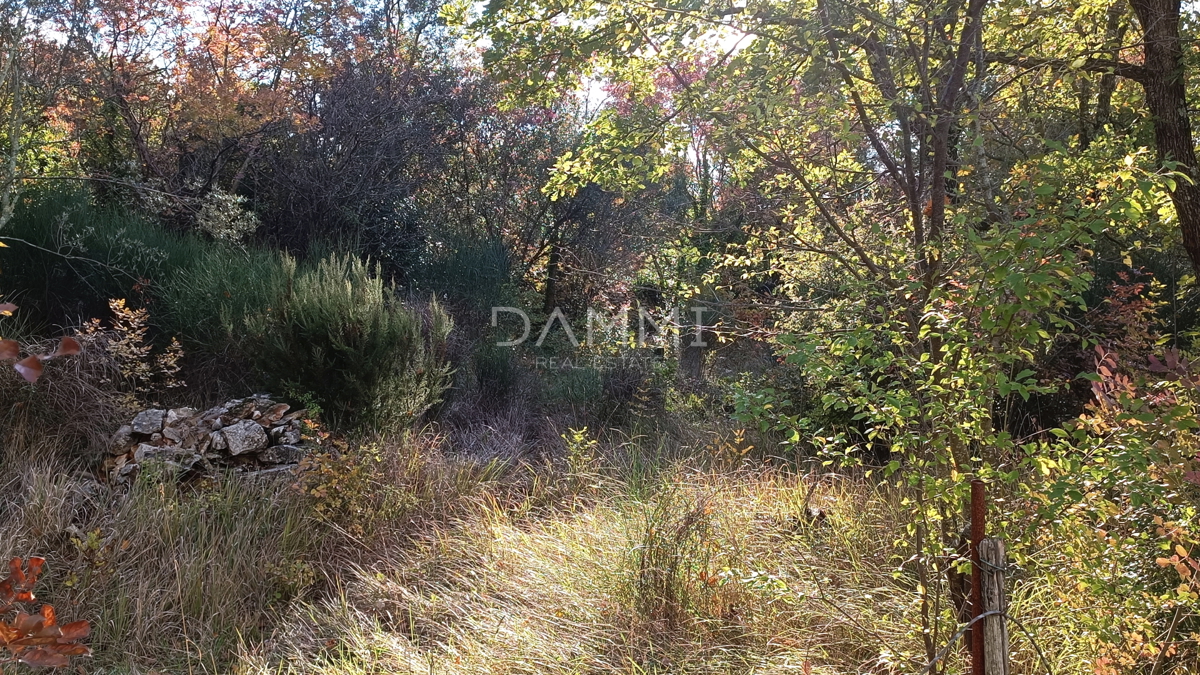 Land For sale - Istarska Vodnjan - foto 3/4