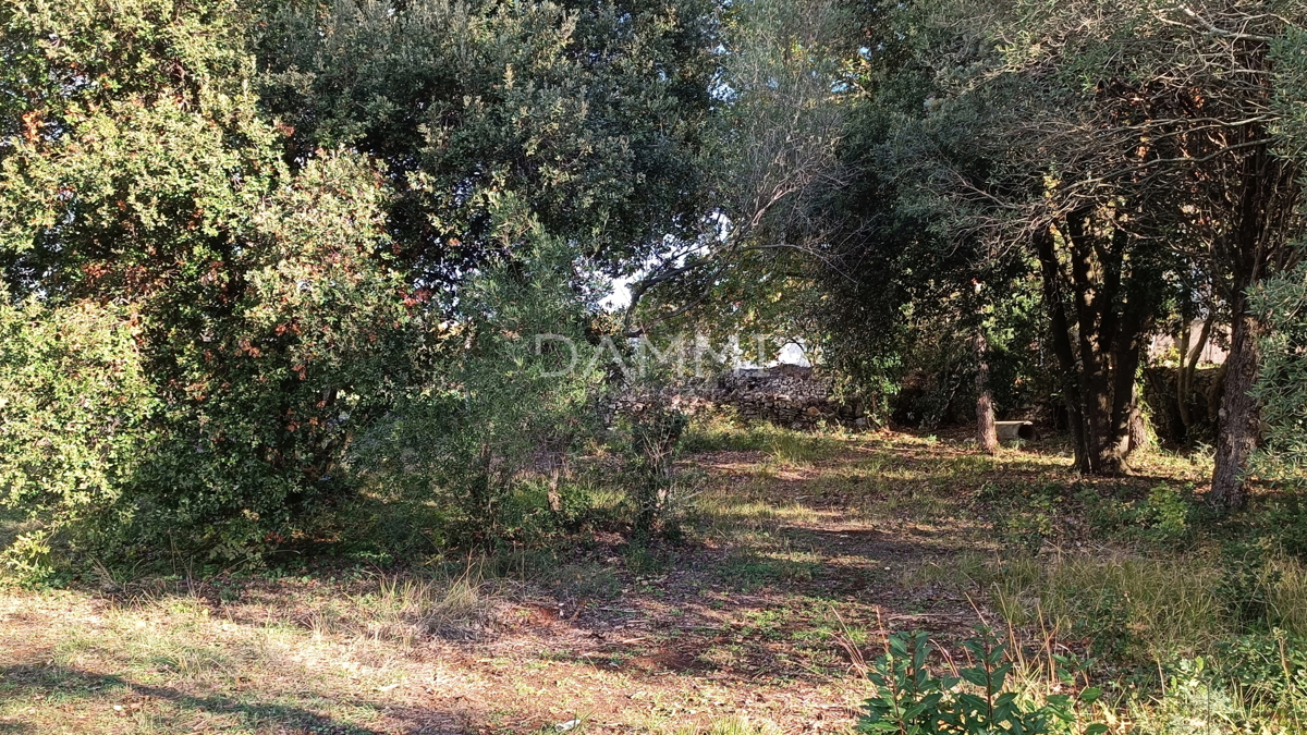 Land For sale - Istarska Vodnjan - foto 4/4
