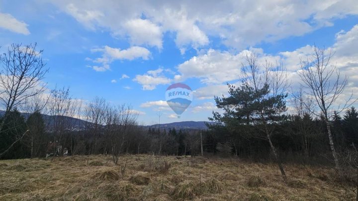 Terrain À vendre - Primorsko-goranska Vrbovsko - foto 5/10