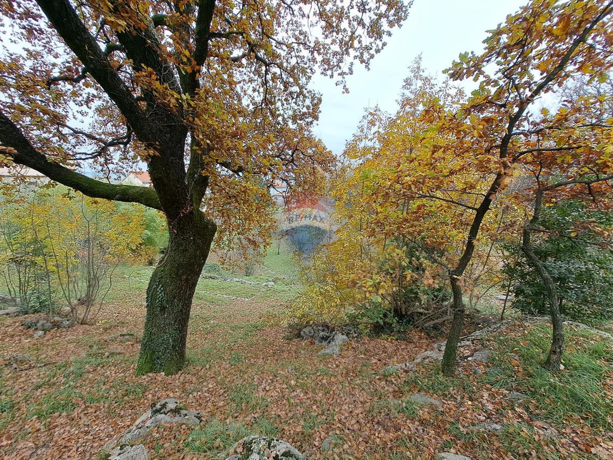 Terrain À vendre - Primorsko-goranska Matulji - foto 1/9