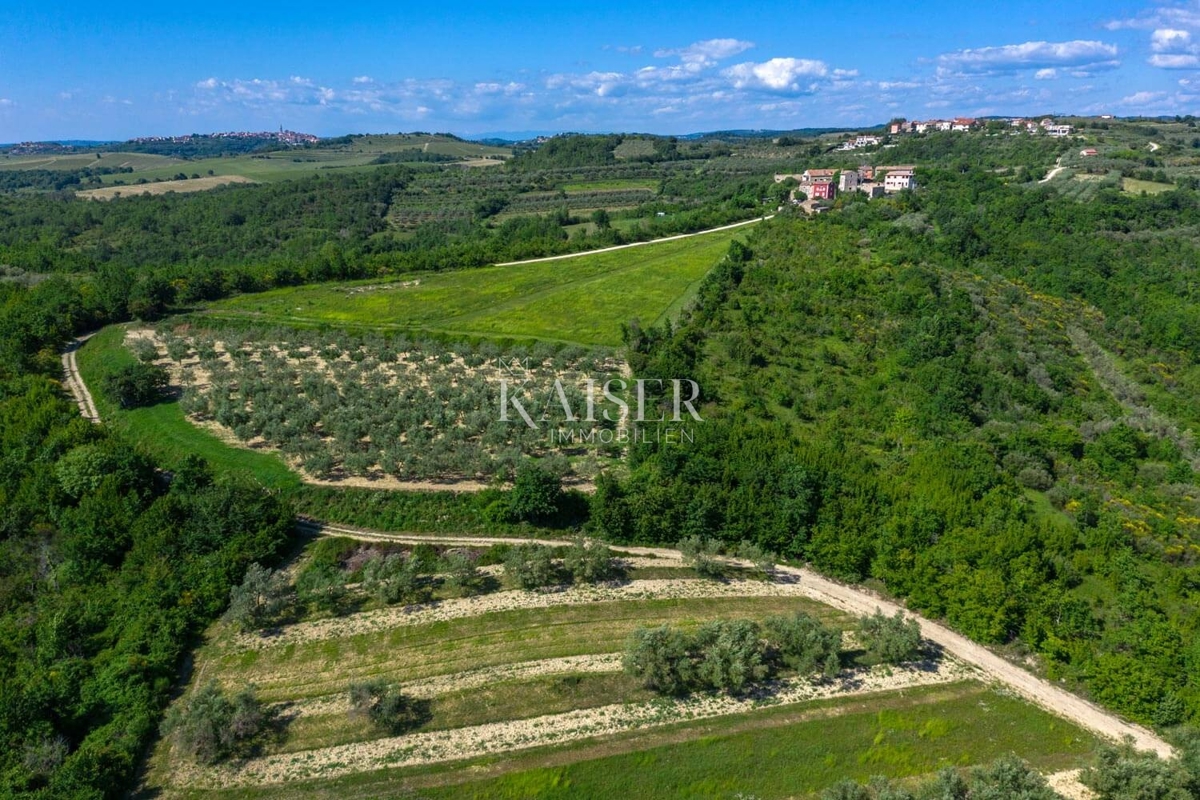 Dom Na predaj - ISTARSKA BUJE