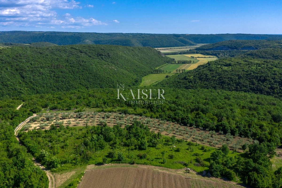 Dom Na predaj - ISTARSKA BUJE