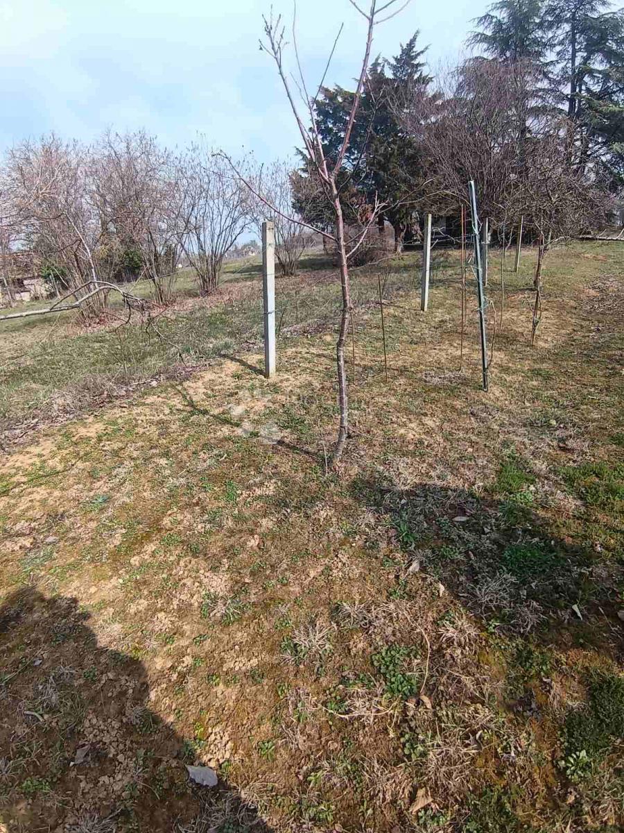 Haus Zu verkaufen - OSJEČKO-BARANJSKA BELI MANASTIR