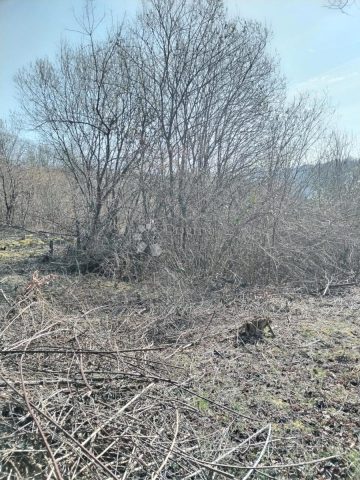 Pozemok Na predaj - Karlovačka Karlovac - foto 3/3
