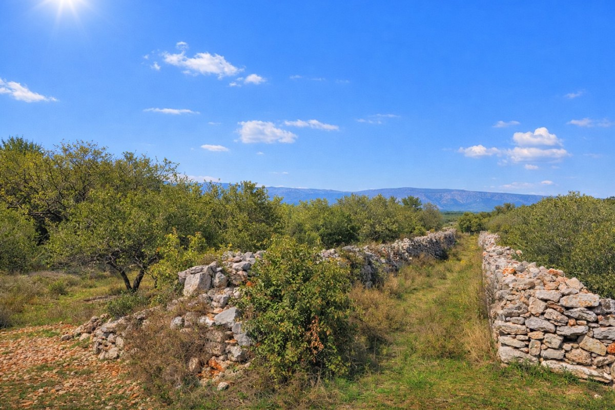 Terreno In vendita - Splitsko-dalmatinska Hvar - foto 2/4